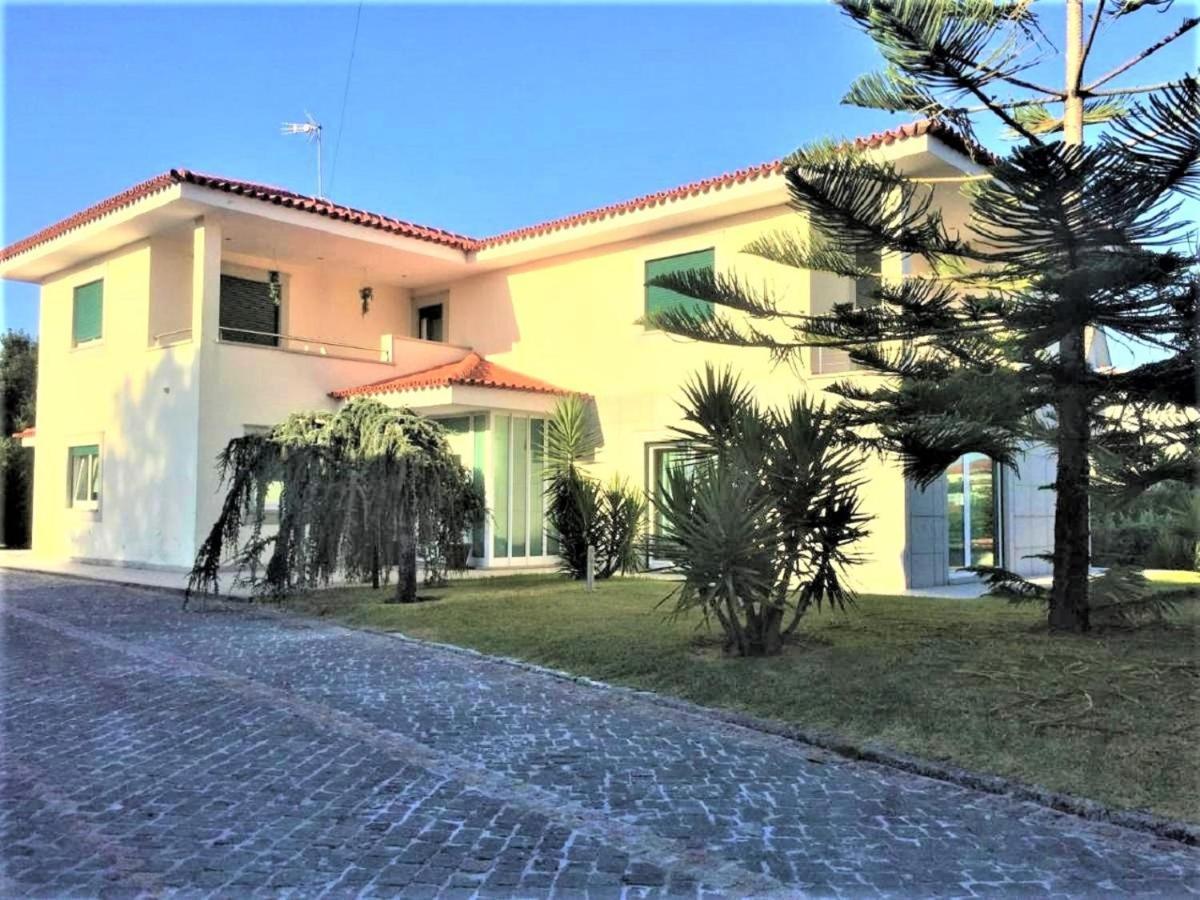 Anjos'Home Viana do Castelo Ngoại thất bức ảnh